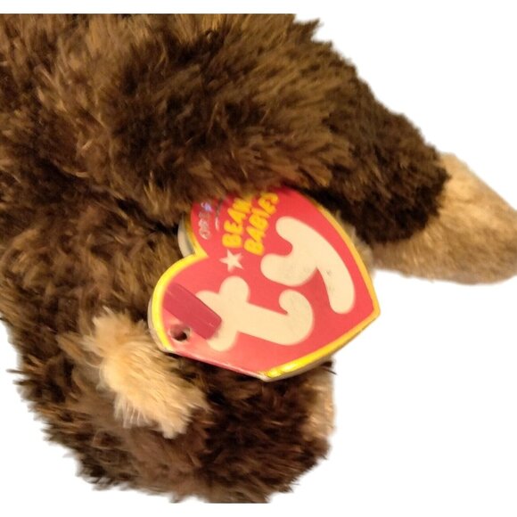 TY Beanie Baby Evan Almighty Swinger Monkey 2003 Rare mint condition - Picture 5 of 5